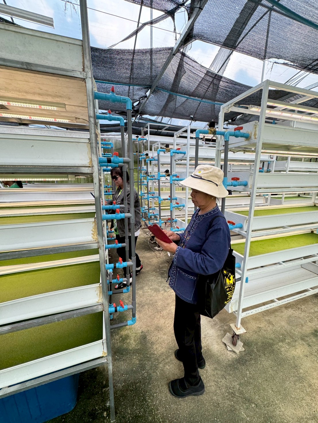 title - สำนักงานการปฏิรูปที่ดินจังหวัดจันทบุรี ดำเนินการจัดฝึกอบรมโครงการพัฒนาเกษตรกรปราดเปรื่อง (Smart farmer ) กิจกรรมพัฒนาเกษตรกรปราดเปรื่องในเขตปฏิรูปที่ดิน (Smart farmer) ปีงบประมาณ พ.ศ. 2569 